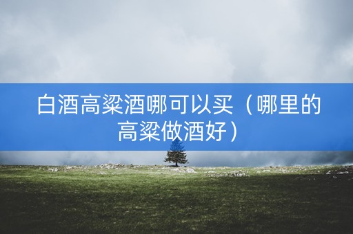 白酒高粱酒哪可以买（哪里的高粱做酒好）
