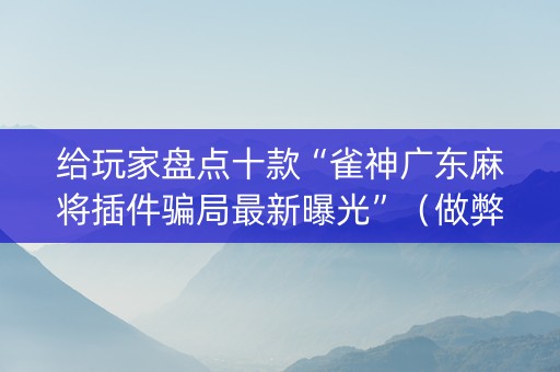 给玩家盘点十款“雀神广东麻将插件骗局最新曝光”（做弊器软件下载)