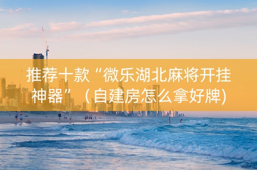 推荐十款“微乐湖北麻将开挂神器”（自建房怎么拿好牌)