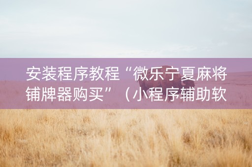安装程序教程“微乐宁夏麻将铺牌器购买”（小程序辅助软件)