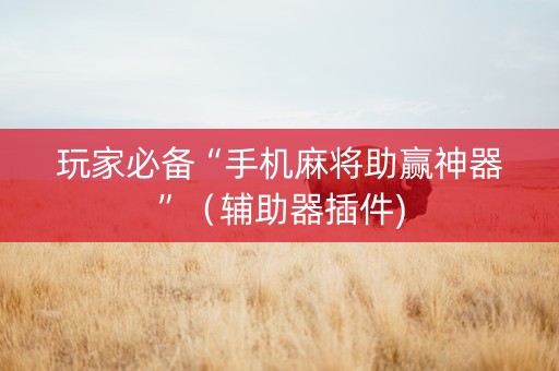 玩家必备“手机麻将助赢神器”（辅助器插件)