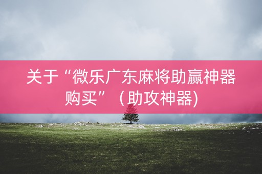 关于“微乐广东麻将助赢神器购买”（助攻神器)