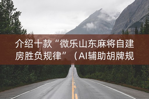 介绍十款“微乐山东麻将自建房胜负规律”（AI辅助胡牌规则)