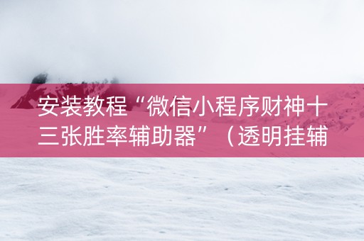 安装教程“微信小程序财神十三张胜率辅助器”（透明挂辅助器)