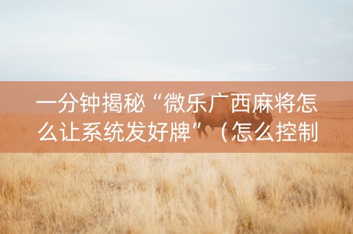 一分钟揭秘“微乐广西麻将怎么让系统发好牌”（怎么控制输赢)