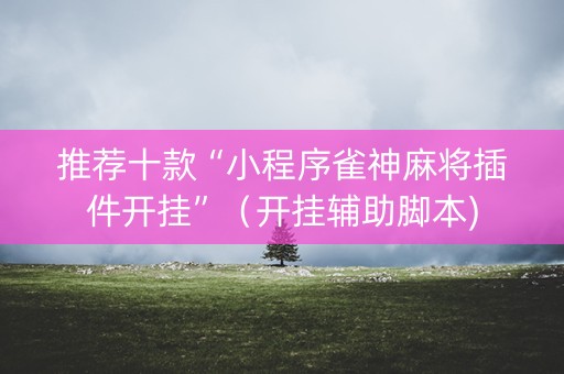 推荐十款“小程序雀神麻将插件开挂”（开挂辅助脚本)