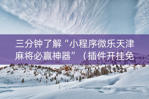 三分钟了解“小程序微乐天津麻将必赢神器”（插件开挂免费AI)