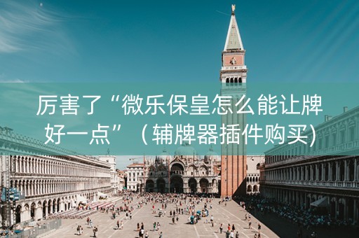 厉害了“微乐保皇怎么能让牌好一点”（辅牌器插件购买)