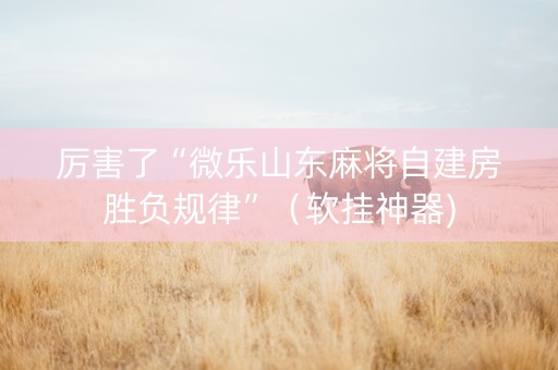 厉害了“微乐山东麻将自建房胜负规律”（软挂神器)