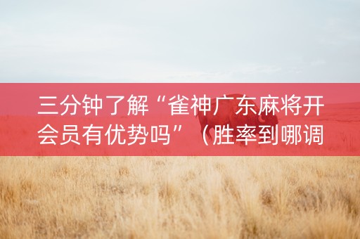 三分钟了解“雀神广东麻将开会员有优势吗”（胜率到哪调)