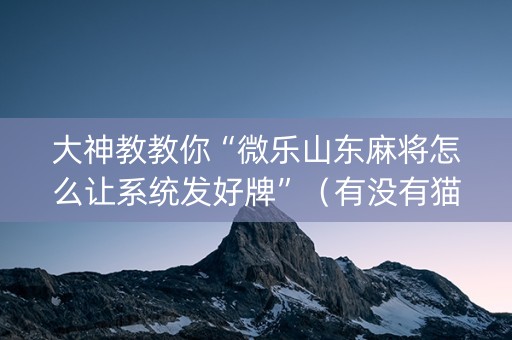 大神教教你“微乐山东麻将怎么让系统发好牌”（有没有猫腻)