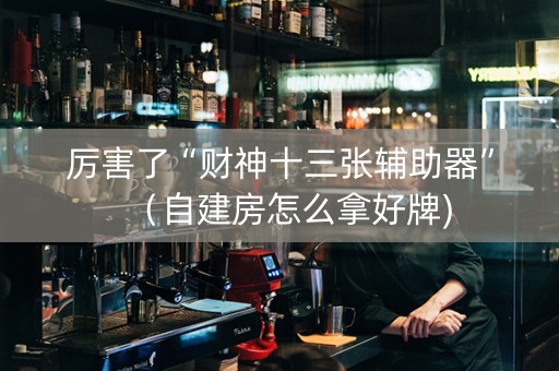 厉害了“财神十三张辅助器”（自建房怎么拿好牌)