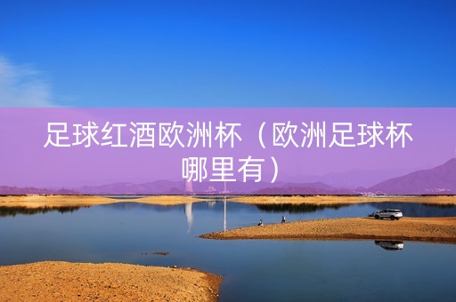 足球红酒欧洲杯（欧洲足球杯哪里有）