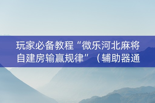玩家必备教程“微乐河北麻将自建房输赢规律”（辅助器通用版)