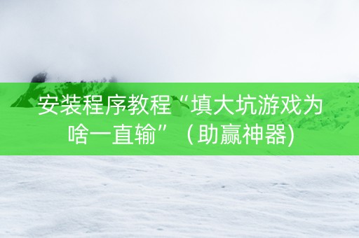 安装程序教程“填大坑游戏为啥一直输”（助赢神器)