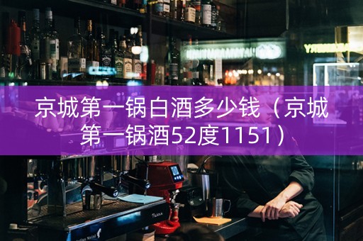 京城第一锅白酒多少钱（京城第一锅酒52度1151）