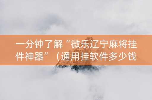 一分钟了解“微乐辽宁麻将挂件神器”（通用挂软件多少钱)