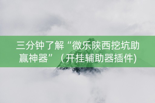 三分钟了解“微乐陕西挖坑助赢神器”（开挂辅助器插件)