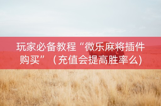 玩家必备教程“微乐麻将插件购买”（充值会提高胜率么)