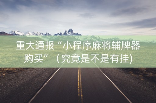 重大通报“小程序麻将辅牌器购买”（究竟是不是有挂)