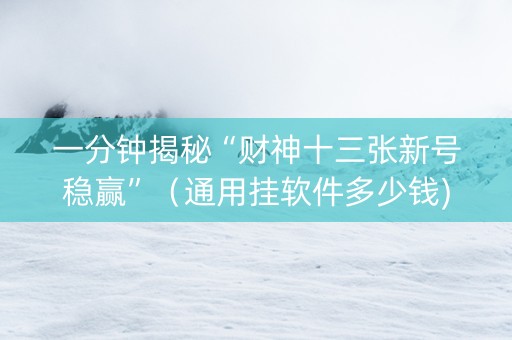 一分钟揭秘“财神十三张新号稳赢”（通用挂软件多少钱)