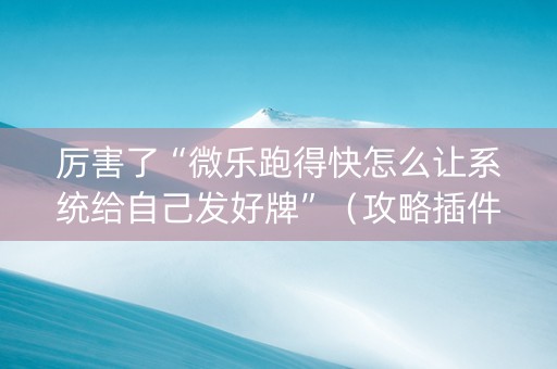 厉害了“微乐跑得快怎么让系统给自己发好牌”（攻略插件)