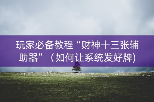 玩家必备教程“财神十三张辅助器”（如何让系统发好牌)