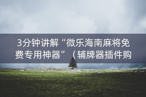 3分钟讲解“微乐海南麻将免费专用神器”（辅牌器插件购买)