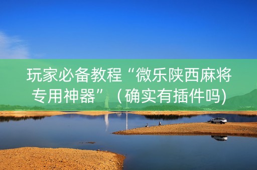 玩家必备教程“微乐陕西麻将专用神器”（确实有插件吗)