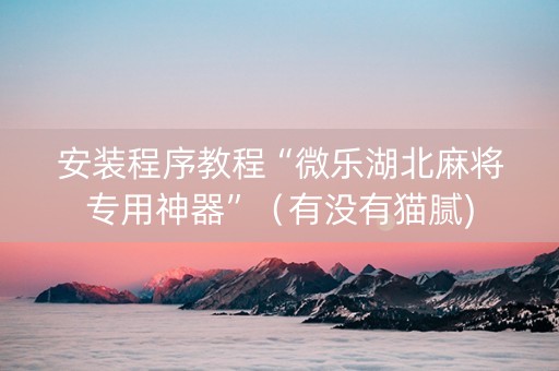 安装程序教程“微乐湖北麻将专用神器”（有没有猫腻)