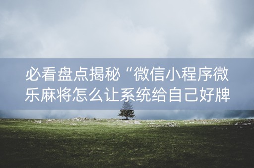 必看盘点揭秘“微信小程序微乐麻将怎么让系统给自己好牌”（插件可信吗)