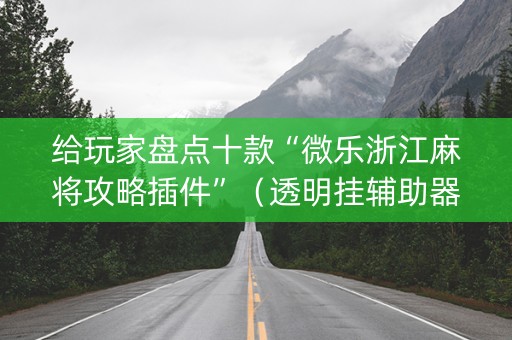 给玩家盘点十款“微乐浙江麻将攻略插件”（透明挂辅助器)