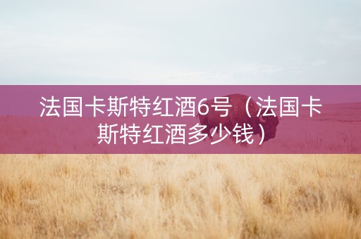 法国卡斯特红酒6号（法国卡斯特红酒多少钱）