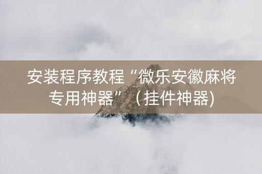 安装程序教程“微乐安徽麻将专用神器”（挂件神器)