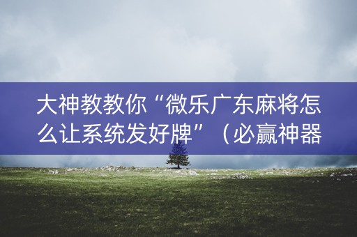 大神教教你“微乐广东麻将怎么让系统发好牌”（必赢神器免费安装)