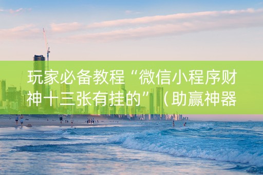 玩家必备教程“微信小程序财神十三张有挂的”（助赢神器)