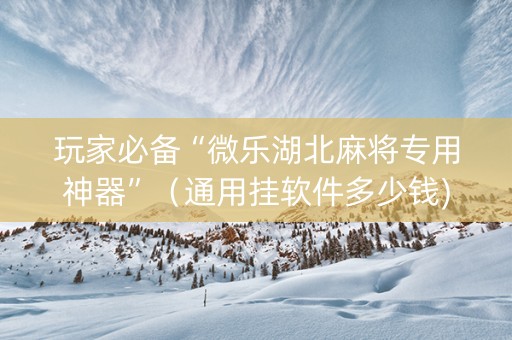 玩家必备“微乐湖北麻将专用神器”（通用挂软件多少钱)