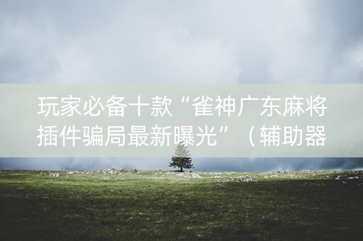 玩家必备十款“雀神广东麻将插件骗局最新曝光”（辅助器通用版)