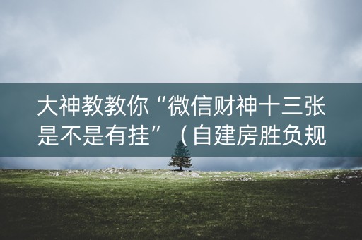 大神教教你“微信财神十三张是不是有挂”（自建房胜负规律)
