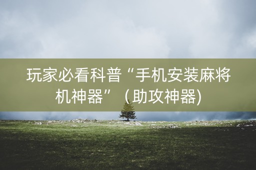 玩家必看科普“手机安装麻将机神器”（助攻神器)