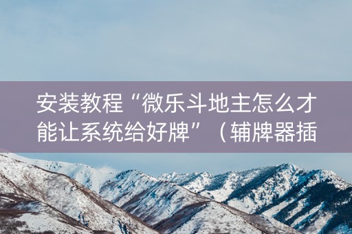 安装教程“微乐斗地主怎么才能让系统给好牌”（辅牌器插件购买)