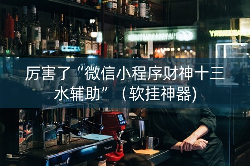厉害了“微信小程序财神十三水辅助”（软挂神器)