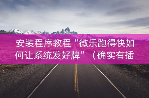 安装程序教程“微乐跑得快如何让系统发好牌”（确实有插件吗)