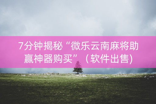 7分钟揭秘“微乐云南麻将助赢神器购买”（软件出售)