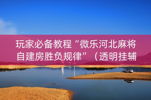 玩家必备教程“微乐河北麻将自建房胜负规律”（透明挂辅助器)