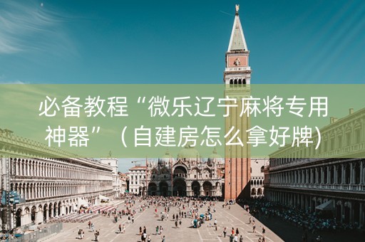 必备教程“微乐辽宁麻将专用神器”（自建房怎么拿好牌)