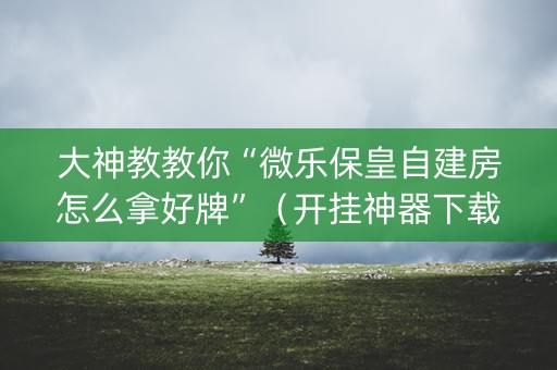 大神教教你“微乐保皇自建房怎么拿好牌”（开挂神器下载)