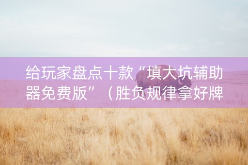 给玩家盘点十款“填大坑辅助器免费版”（胜负规律拿好牌)