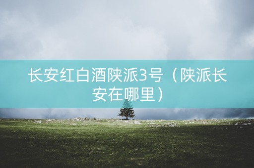 长安红白酒陕派3号（陕派长安在哪里）