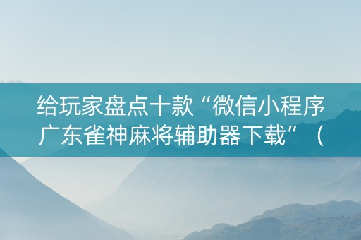 给玩家盘点十款“微信小程序广东雀神麻将辅助器下载”（辅助器插件)